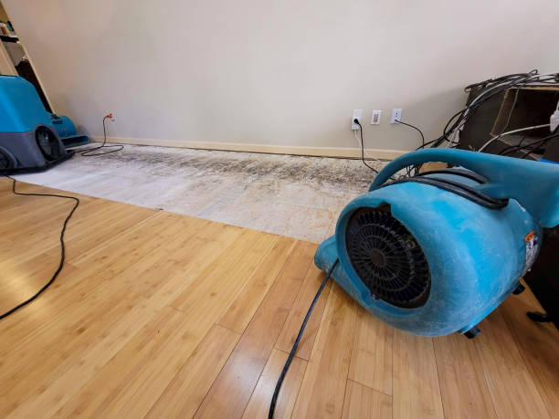 Professional Water Removal technician working in Independence, OH